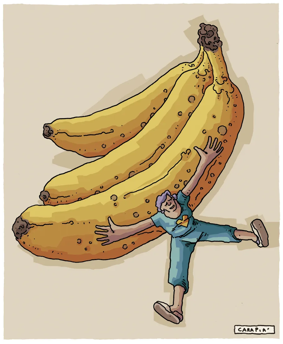 Uma banana nos mostra diversas formas de existir