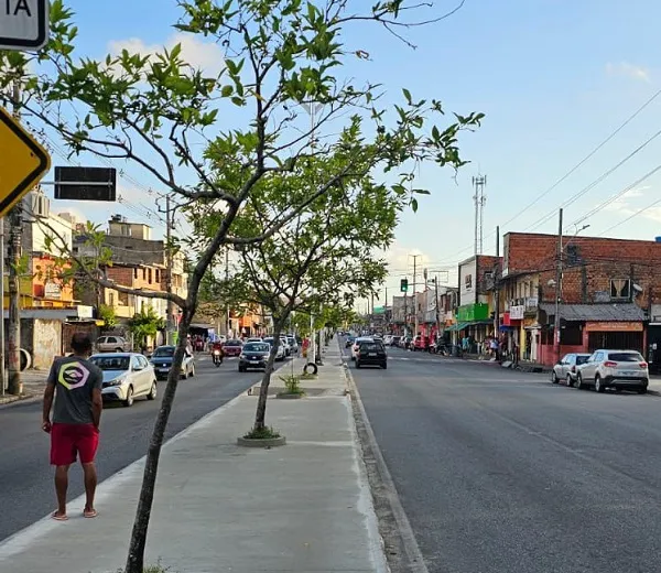 Avenida Afrânio Peixoto, Suburbana