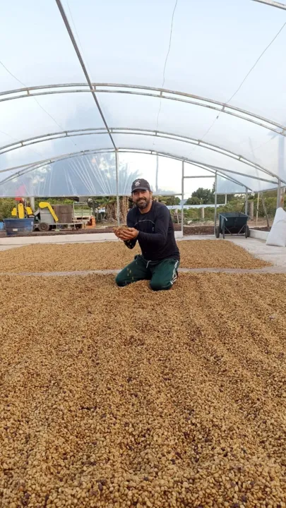 Maridalton  vem de uma família de produtores do café