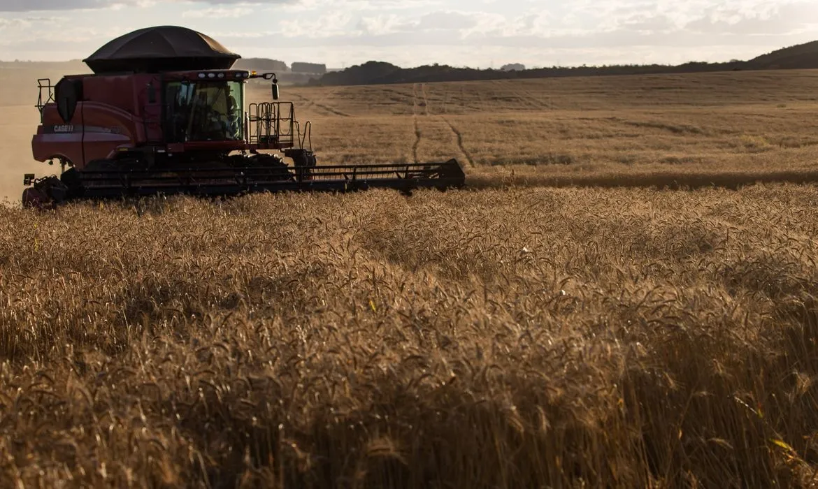 Imagem ilustrativa da imagem BC faz mudanças no Proagro e prevê economia de quase R$ 3 bilhões