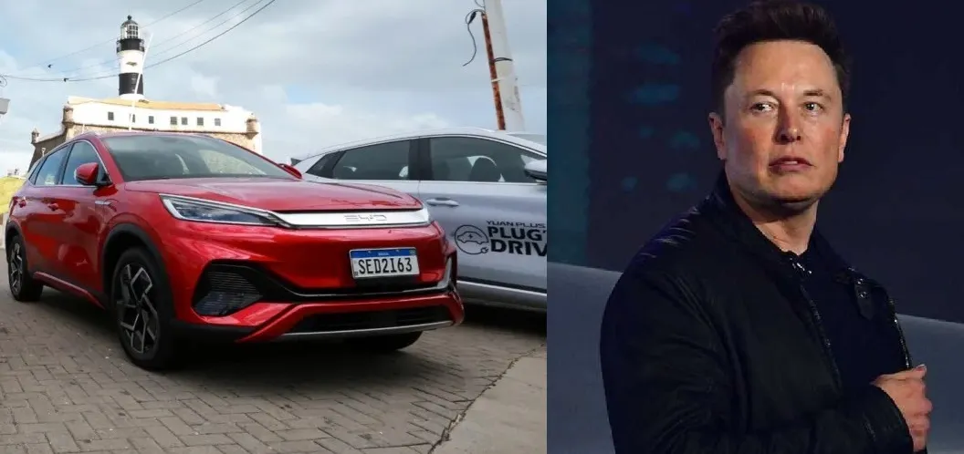 BYD é concorrente da Tesla, de Elon Musk