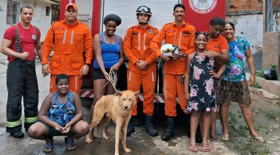 Imagem ilustrativa da imagem Cachorro é resgatado depois de ficar 2 dias em buraco de 3 metros