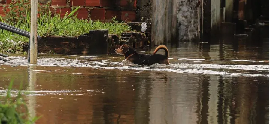 Ruas de alguns bairros ficaram ilhadas