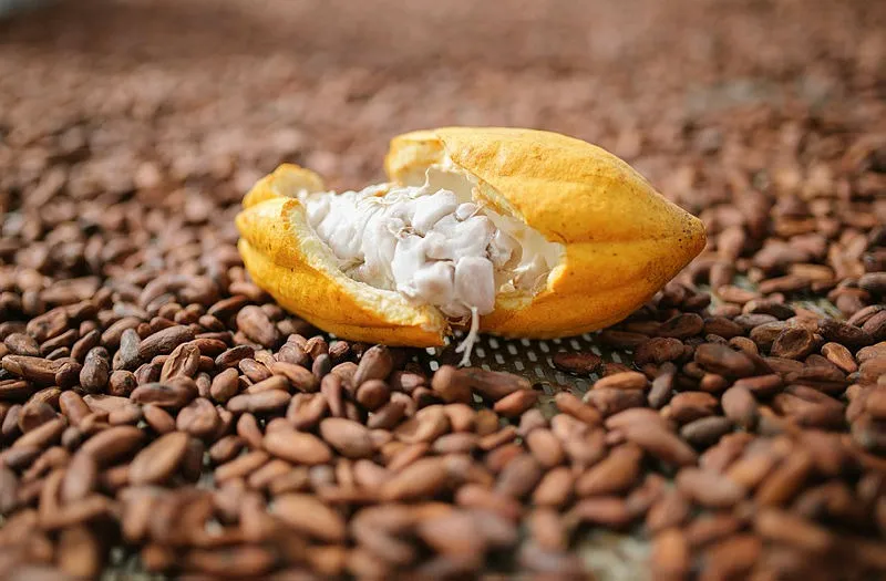 Produção de ovos e bombons cresce cerca de 40%