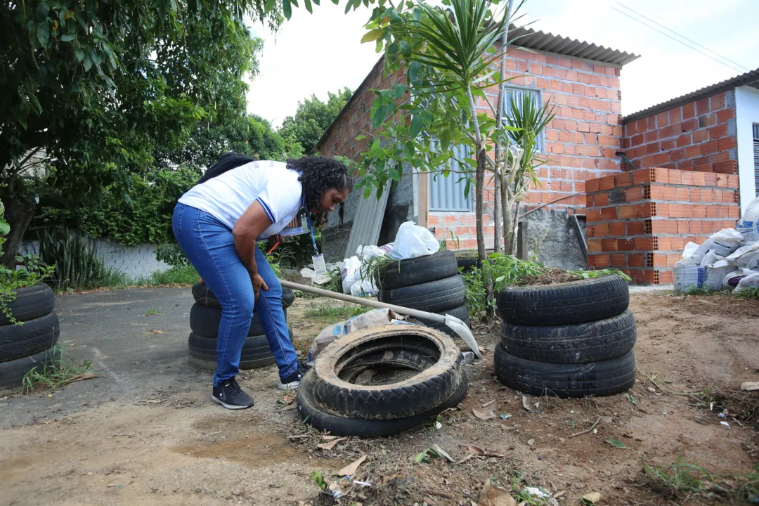 Imagem ilustrativa da imagem Conquista, Feira e Salvador lideram ranking de casos de Dengue