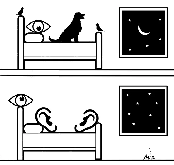 Imagem ilustrativa da imagem Crônica de vozes noturnas