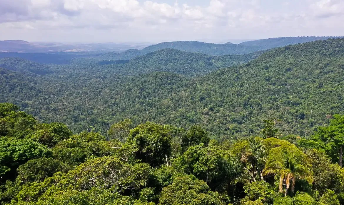 Material traça um panorama sobre a situação na região amazônica
