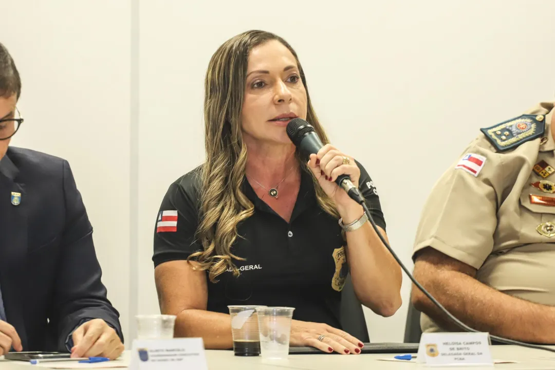 Delegada também comentou sobre os estupros acontecidos no carnaval