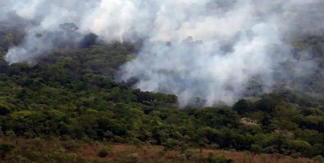 Meta é restaurar 12 milhões de hectares de áreas degradadas até 2030