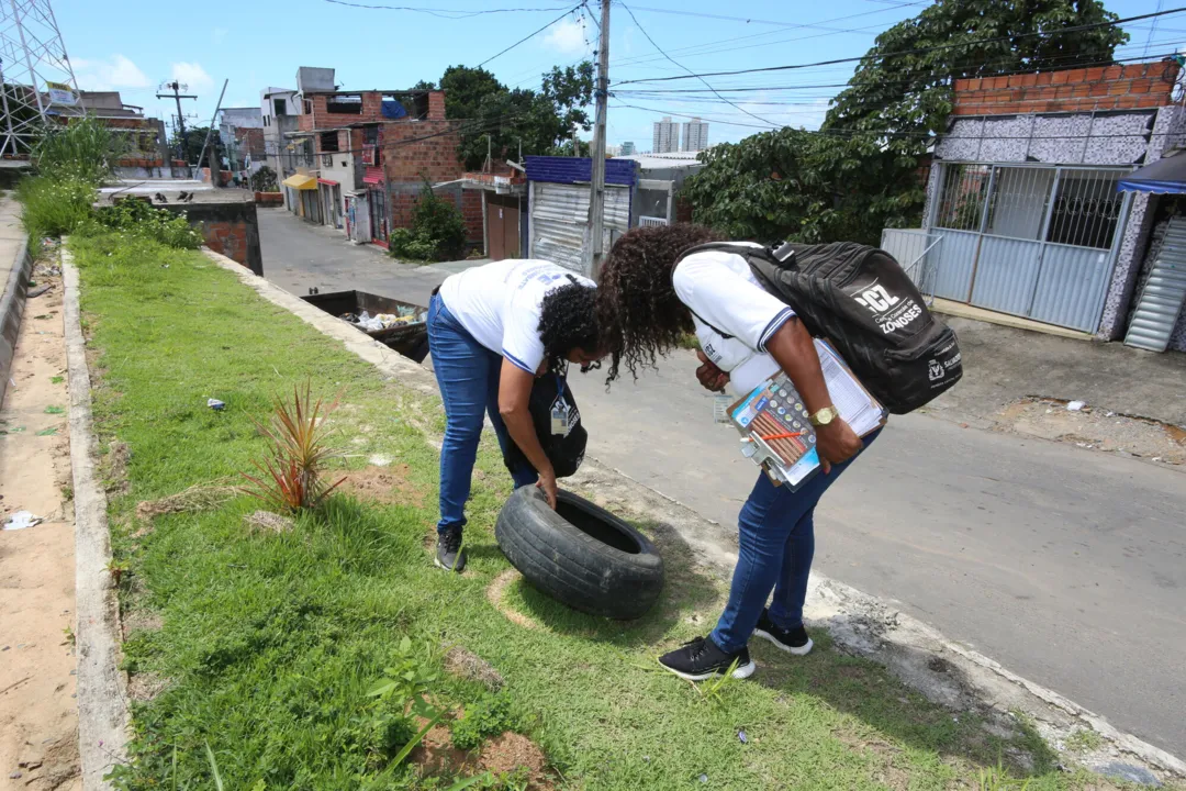 Combate consiste em mutirões de limpeza, aquisição de medicamentos, insumos e carros de fumacê