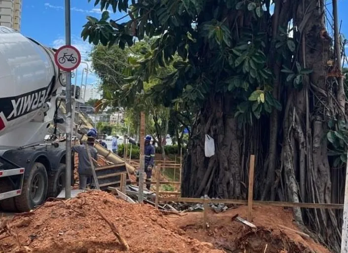 Denúncia foi registrada em imagens esta semana