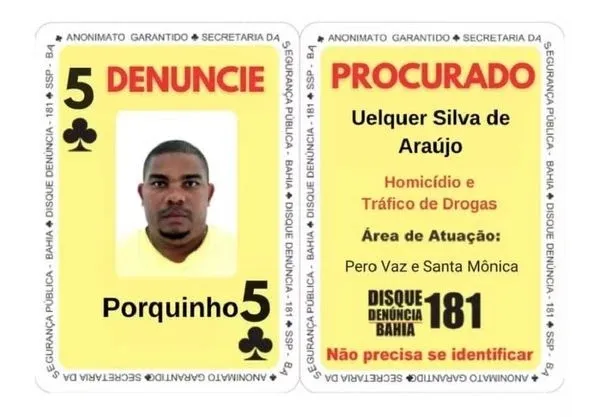 Porquinho é envolvido no tráfico de drogas e em mortes