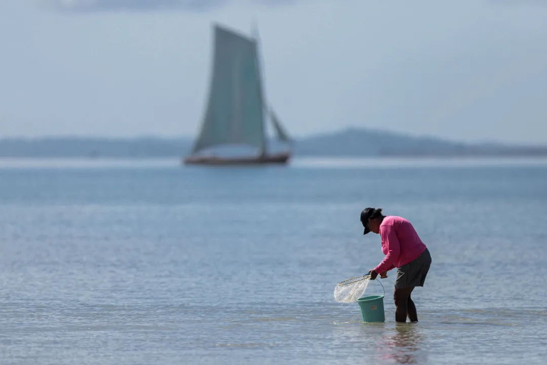 Pescadores, pescadoras, mariqueiros e marisqueiras têm direito ao registro profissional