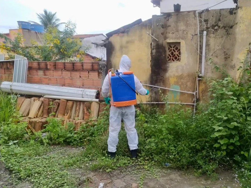 Agentes da saúde usaram  fumacê para combater proliferação do mosquito