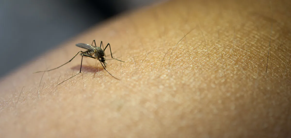 Estão sendo distribuídos kits de combate à dengue