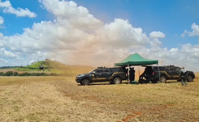 Segundo a PF, este é o maior operativo policial de erradicação de plantios ilícitos de cannabis do planeta