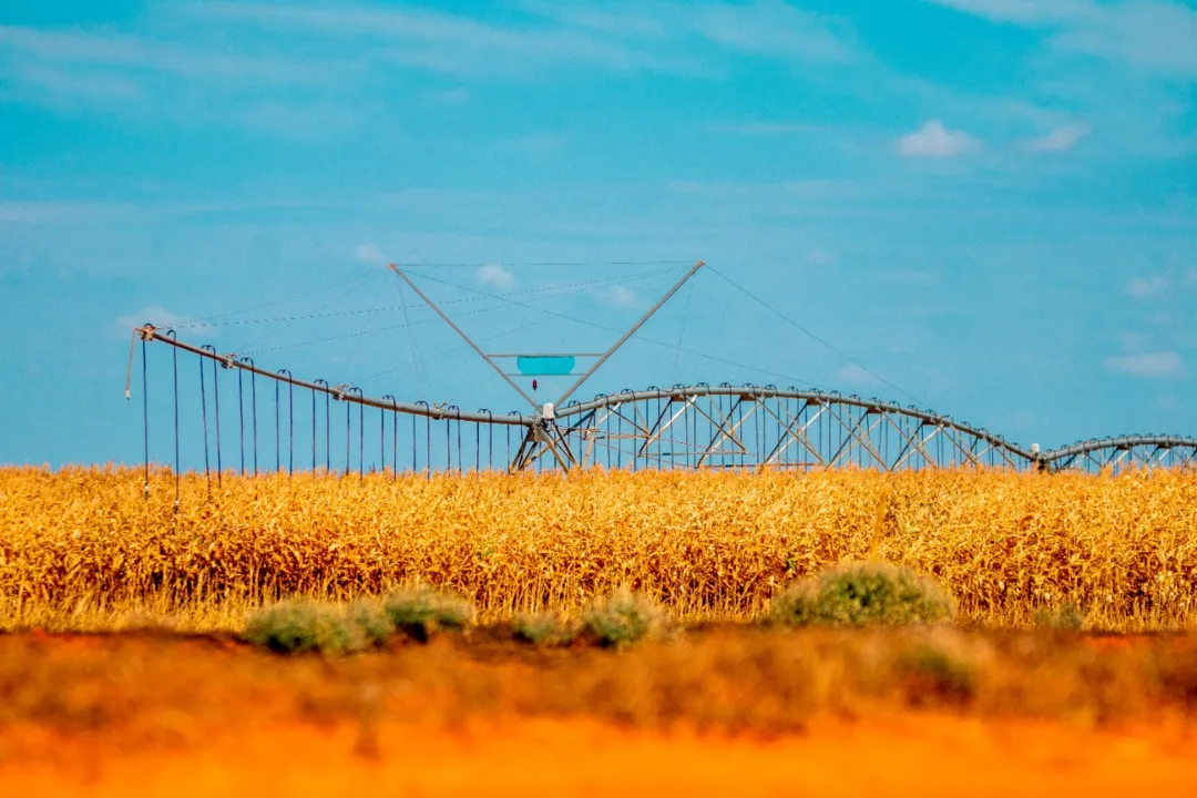 Produtos agrícolas do Estado, como o milho, sofreram redução de preços no período