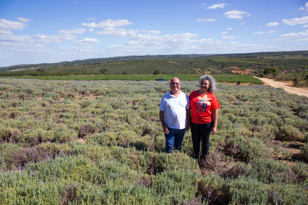 João e Ana Cleude cultivam plantas e ervas aromáticas e medicinais