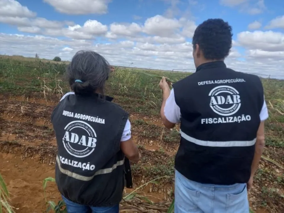 Imagem ilustrativa da imagem Saiba detalhes do concurso com 160 vagas para agrônomos e veterinários