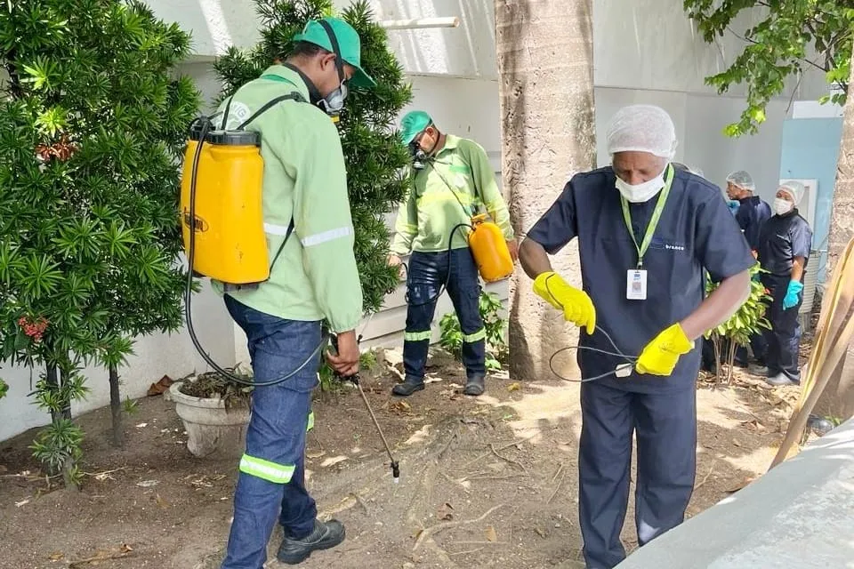 Foi liberado o uso de fumacês