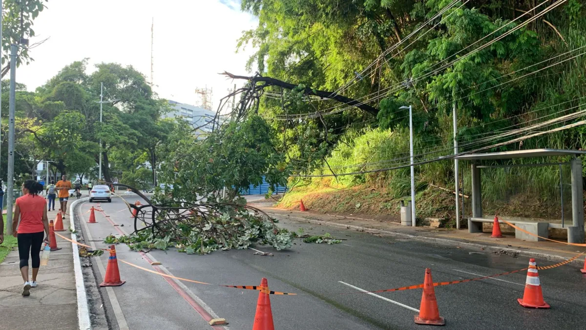 Trânsito foi desviado na Avenida Anita Garibaldi, em Salvador