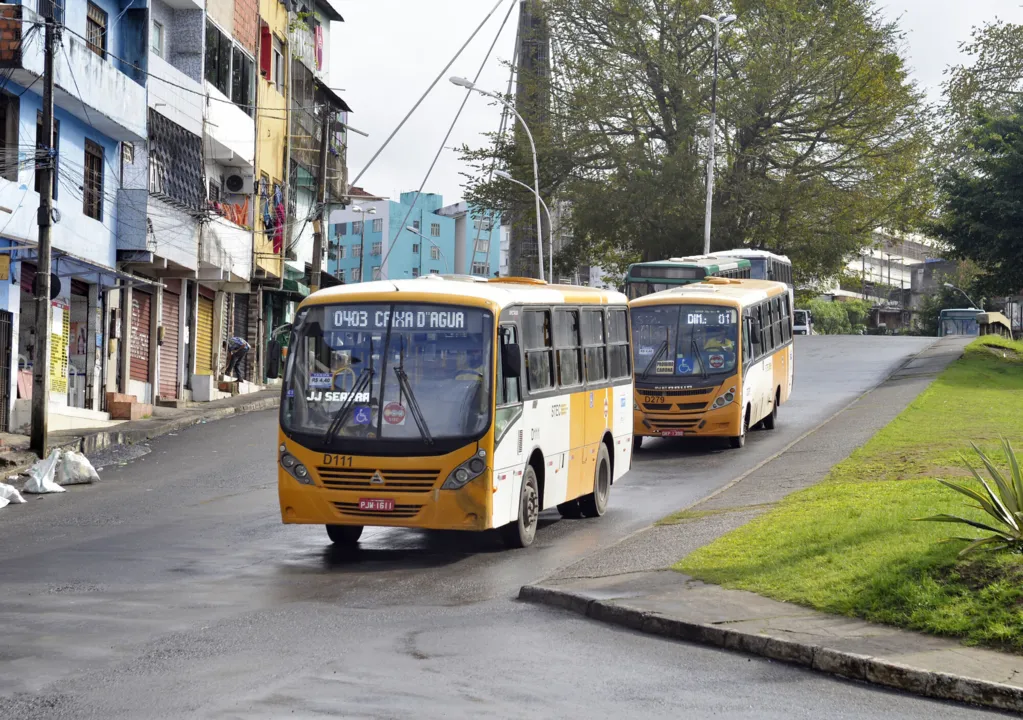 Imagem ilustrativa da imagem Vereadores aprovam suplementação orçamentária para transportes