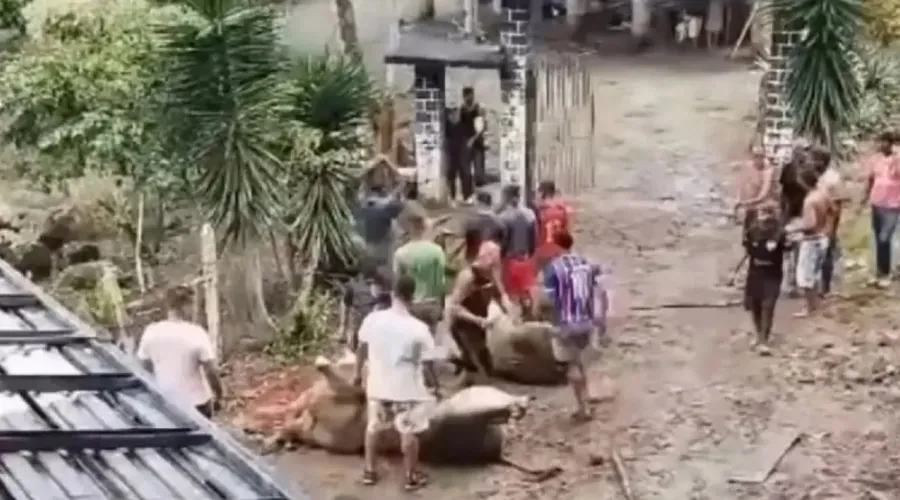 Carnes são saqueadas por polulares