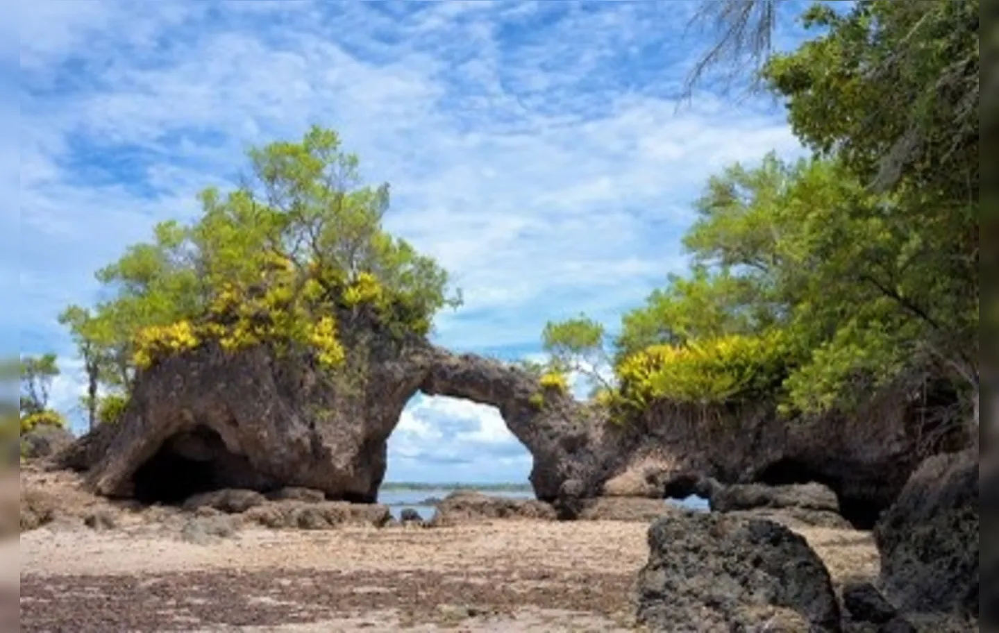 Imagem ilustrativa da imagem Acordo para livre acesso de ilha é assinado no sul da Bahia
