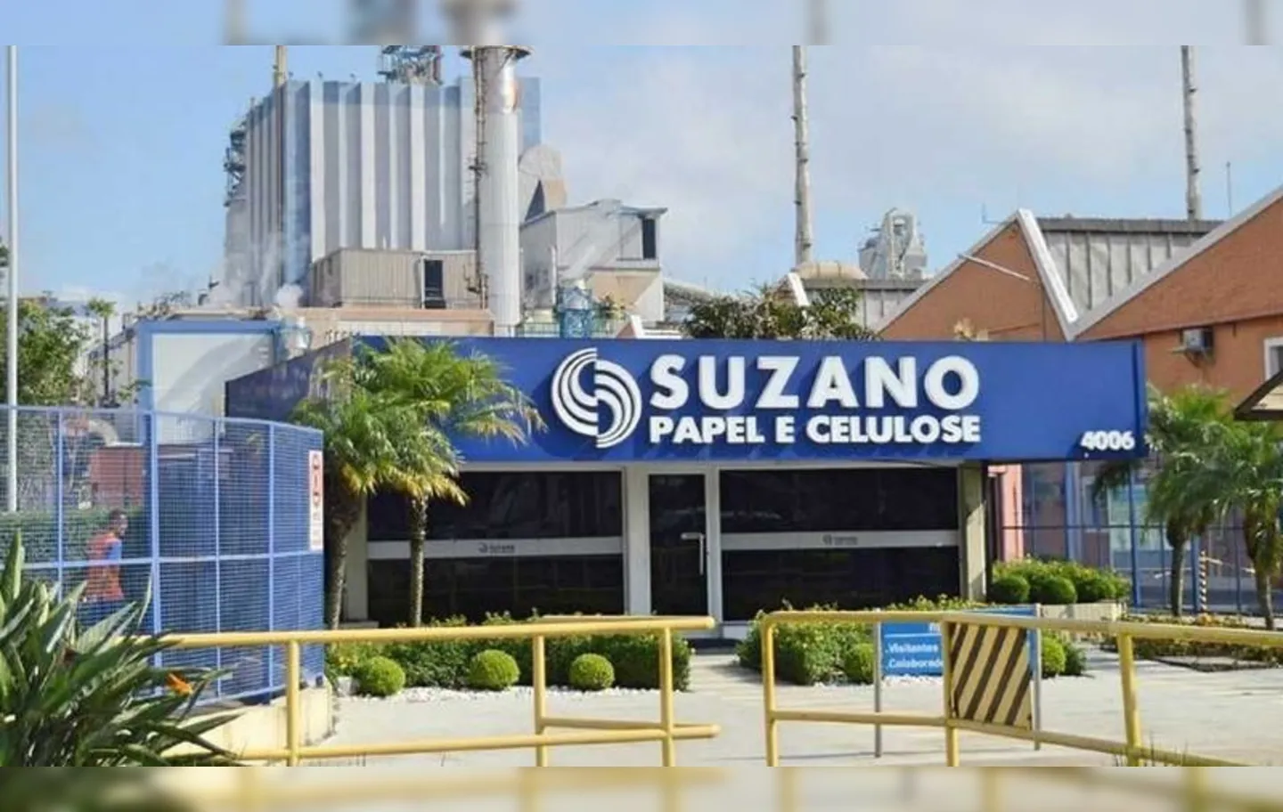 Suzano é a maior produtora mundial de celulose e uma das maiores produtoras de papel