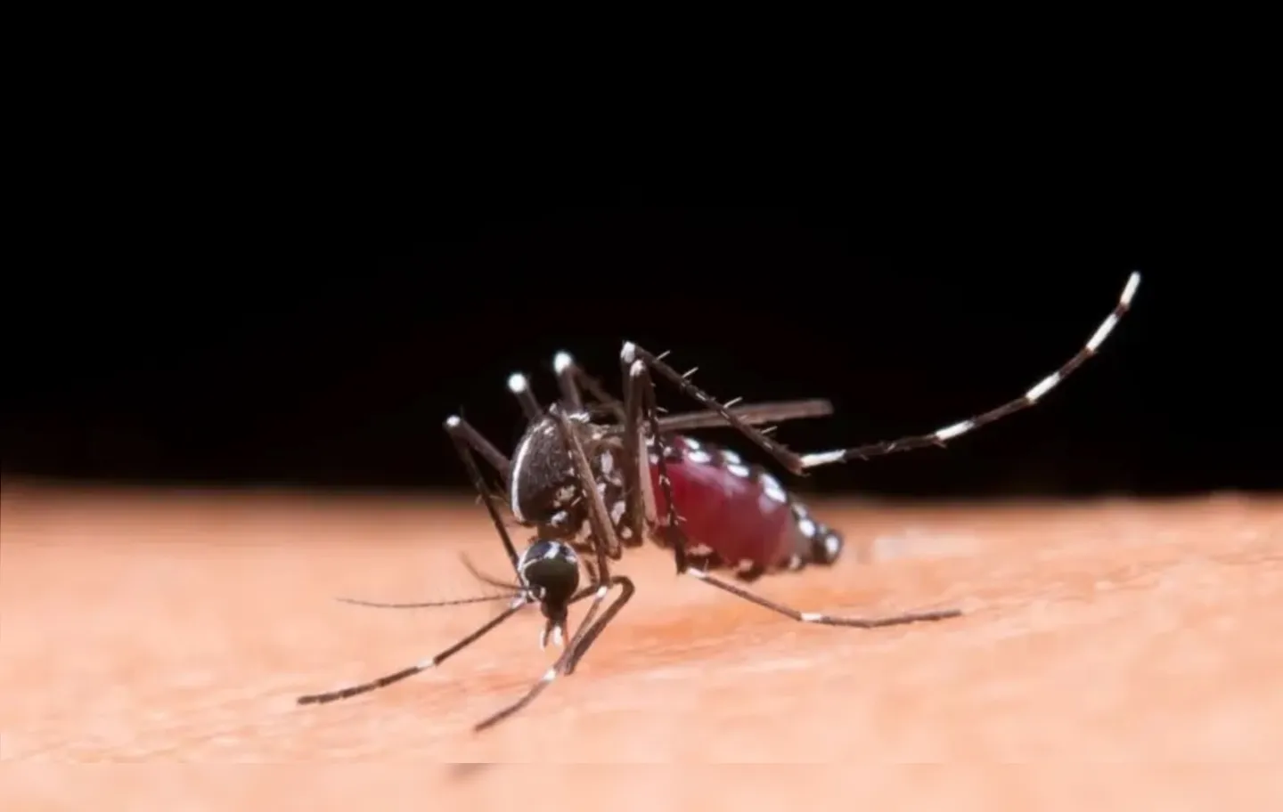 A Bahia soma 175 cidades em estado de epidemia de dengue