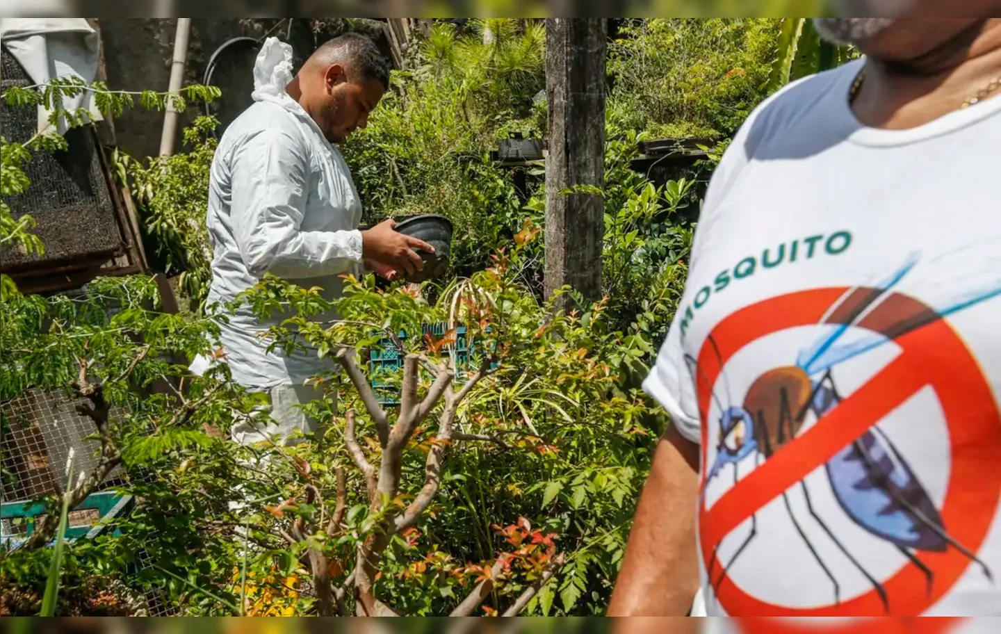 Paraná decreta situação de emergência em saúde pública por causa da explosão de casos de dengue