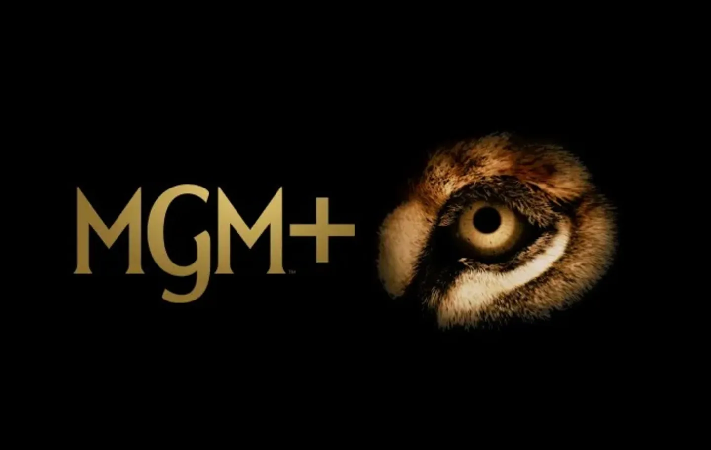 Novidade segue uma série de acordos estratégicos que o MGM+ fez com a Lionsgate/Starz