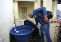 Sesab faz campanha de combate Aedes aegypti, transmissor da dengue