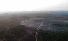 Imagem ilustrativa da imagem Área queimada no Brasil cresce 248% em relação a janeiro de 2023