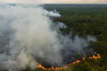 Imagem ilustrativa da imagem Brasil registra recorde de incêndios florestais entre janeiro e abril