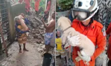 Imagem ilustrativa da imagem Cachorro é resgatado após mais de 30h em escombros no Largo do Tanque