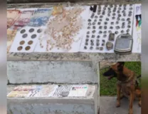 Imagem ilustrativa da imagem Cães Farejadores da PM localizam drogas em Santa Cruz de Cabrália