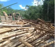 Imagem ilustrativa da imagem Ciclista morre após ser atingido por toras de madeira na Bahia
