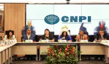 Imagem ilustrativa da imagem Conselho Nacional de Política Indigenista retoma atividades