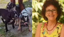 Imagem ilustrativa da imagem Escritora Roseana Murray é atacada por três pitbulls; estado é grave