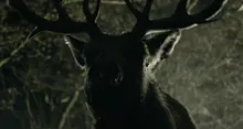 Imagem ilustrativa da imagem Filme de terror de Bambi ganha teaser; assista