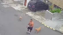 Imagem ilustrativa da imagem Homem é flagrado andando com dois Pitbulls soltos; vizinhos denunciam