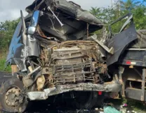 Imagem ilustrativa da imagem Motorista de ônibus morre após batida com caminhão na Bahia