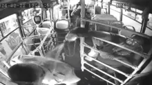 Imagem ilustrativa da imagem Mulher tenta atear fogo no ex-marido em ônibus- Veja vídeo