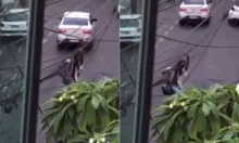 Imagem ilustrativa da imagem VÍDEO: Homem é flagrado pendurado em rede de fiação no bairro da Graça