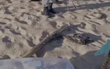 Imagem ilustrativa da imagem Vídeo: Sucuri é resgatada na praia de Jardim de Alah