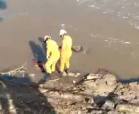 Imagem ilustrativa da imagem Vídeo: bombeiros vão resgatar corpo em rio, mas "morto" acorda