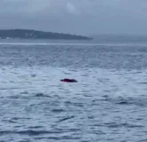 Imagem ilustrativa da imagem Vídeo: corpo é avistado boiando no Terminal Marítimo de Salvador