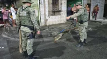 Imagem ilustrativa da imagem Vídeo: jacaré-de-papo-amarelo e jiboia são resgatados em Salvador