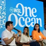 Imagem ilustrativa da imagem WSL vai financiar ONG de Florianópolis em projeto ambiental